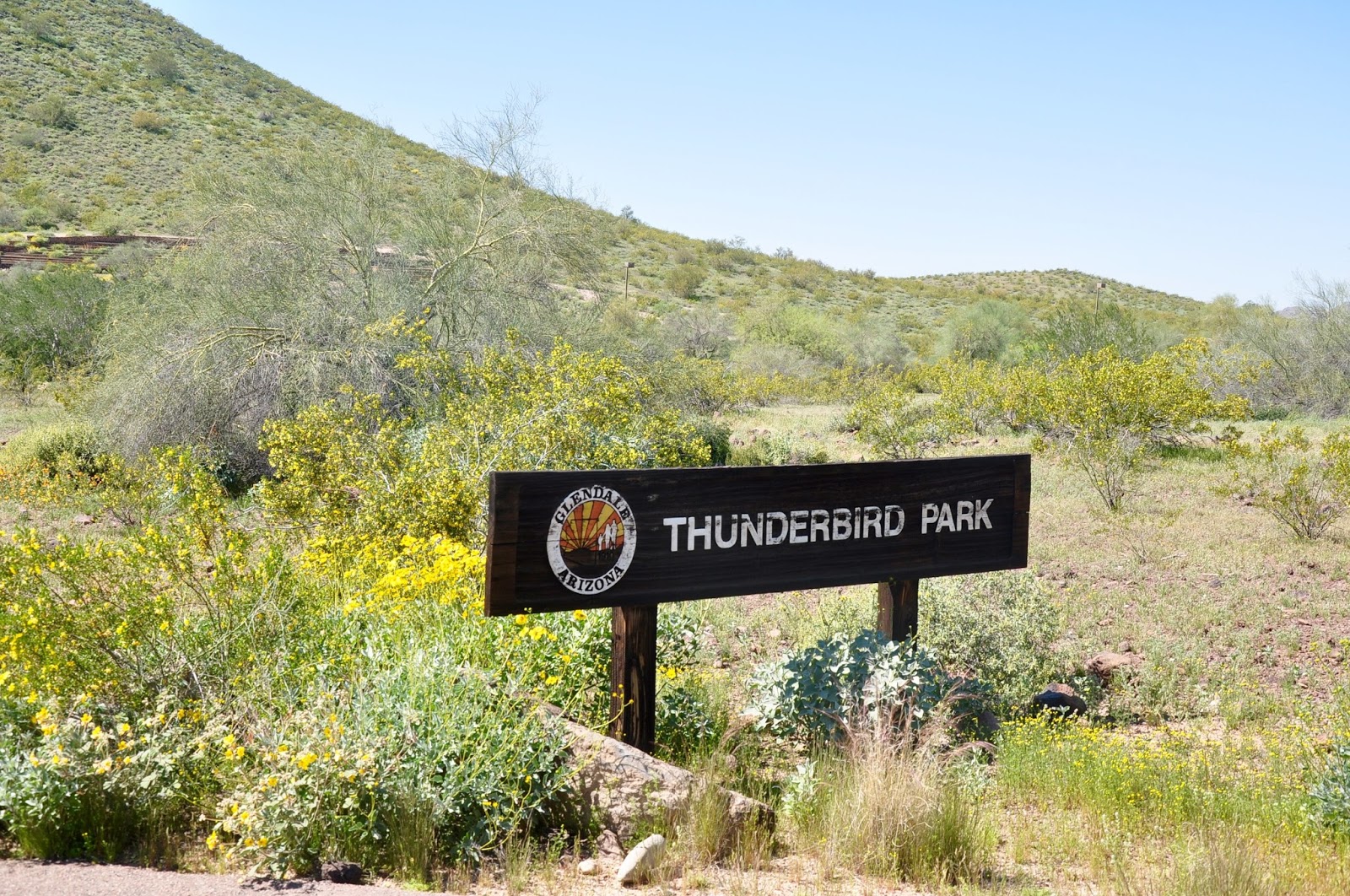 Sign for Thunderbird Park in a desert landscape, with green hills and yellow wildflowers under a clear blue sky.